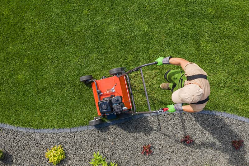 Lawn Aeration