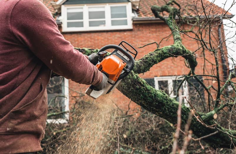 Brush Clearing