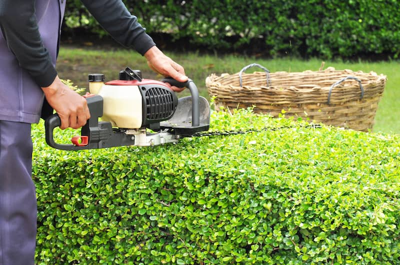 Landscaping